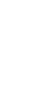 京都に佇むお箸