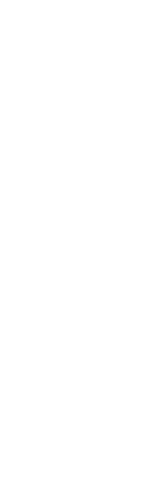 和の器に閉じ込めた